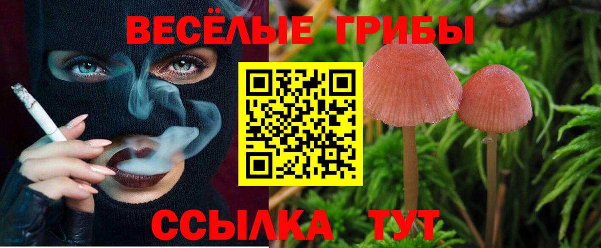 Зеленодольск  Псилоцибиновые грибы прущие грибы  Вход с VPN 